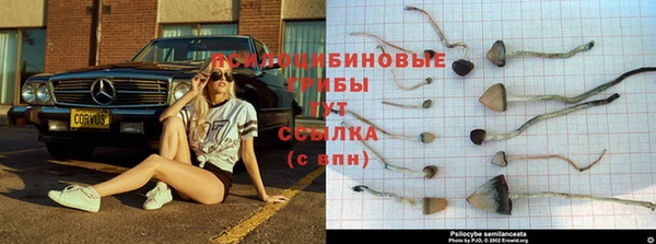 spice Киреевск