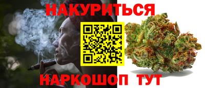 гидра Краснознаменск