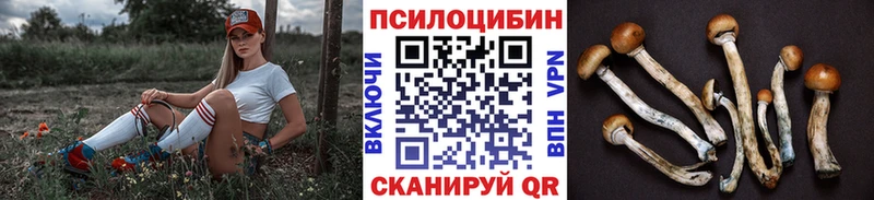 Галлюциногенные грибы Magic Shrooms  дарнет шоп  Корсаков 