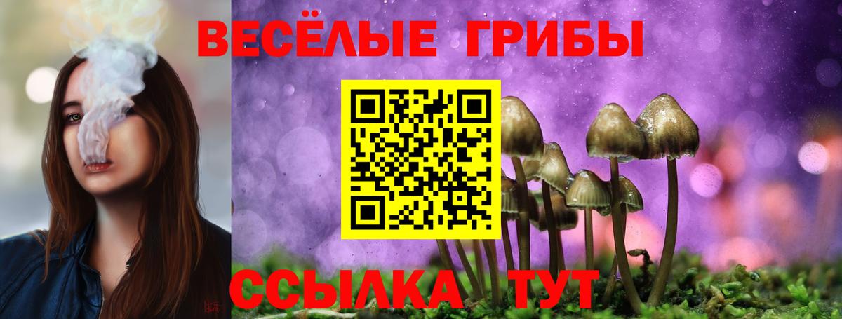 Псилоцибиновые грибы Magic Shrooms  Вход с VPN  Галлюциногенные грибы мухоморы  Корсаков 